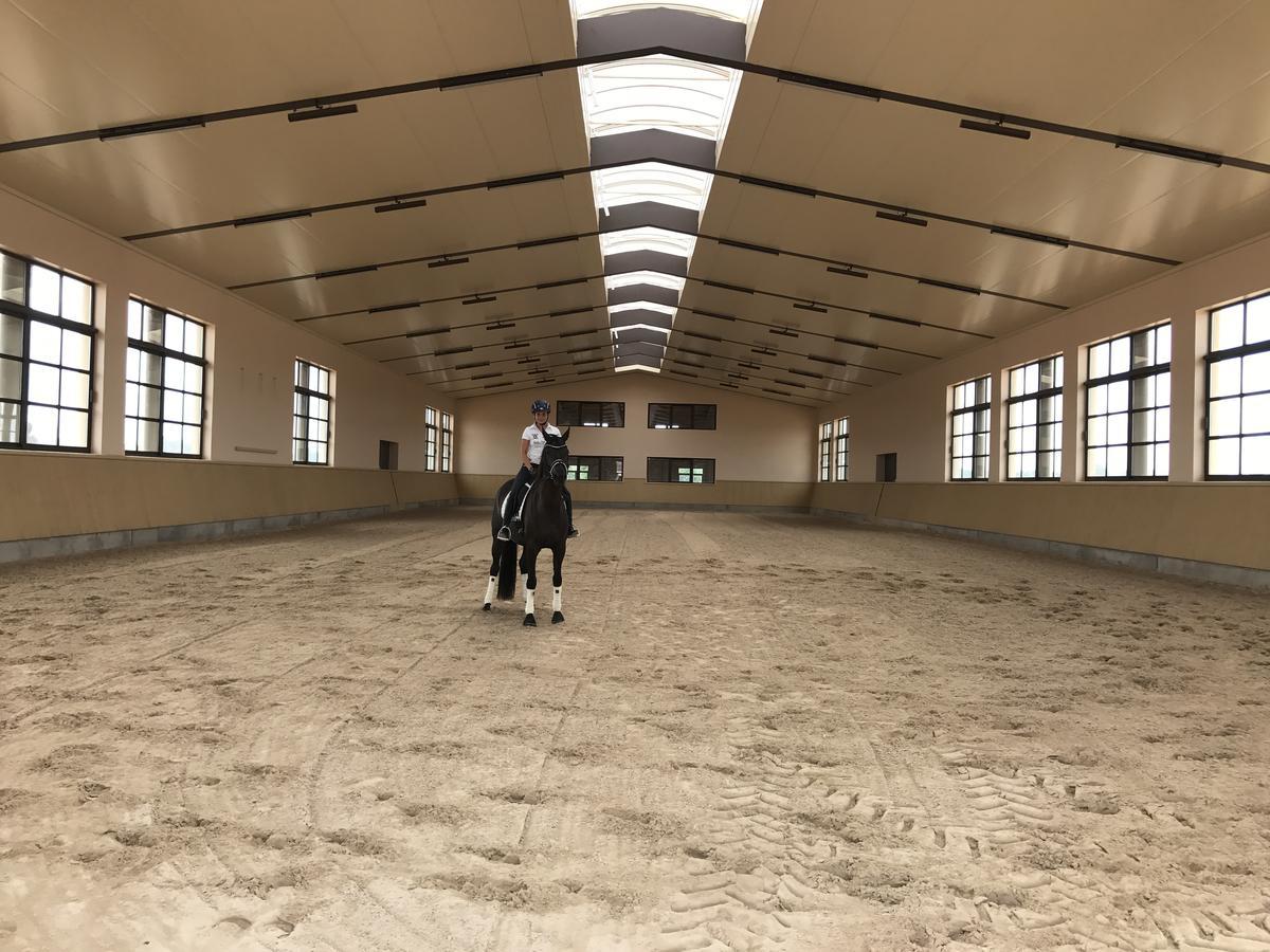 Vmg Horse Ranch (Adults Only) Vila Llucmajor  Exterior foto