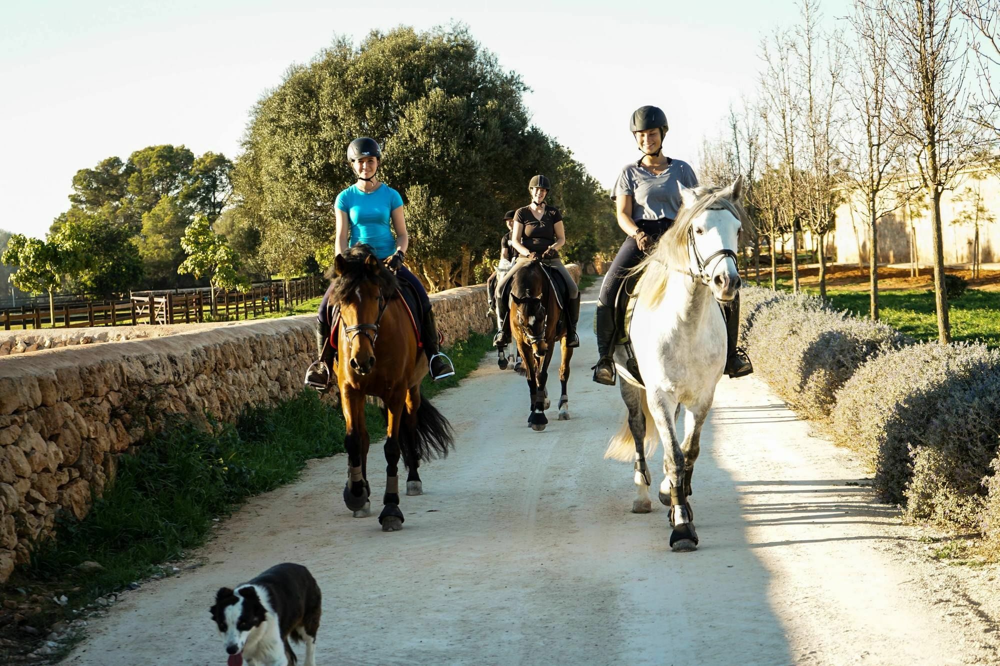 Vmg Horse Ranch (Adults Only) Vila Llucmajor  Exterior foto