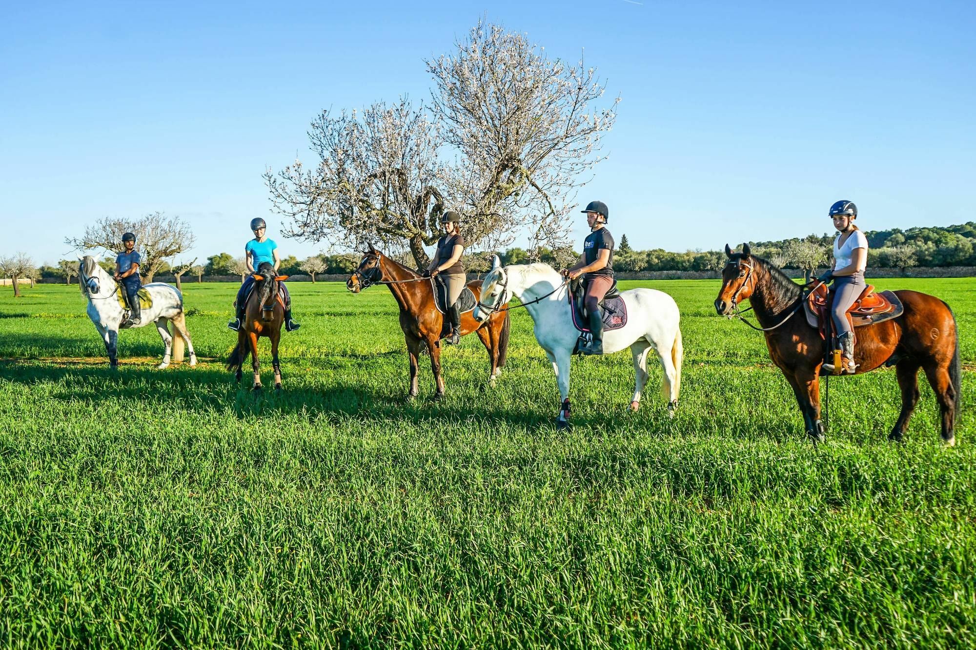 Vmg Horse Ranch (Adults Only) Vila Llucmajor  Exterior foto