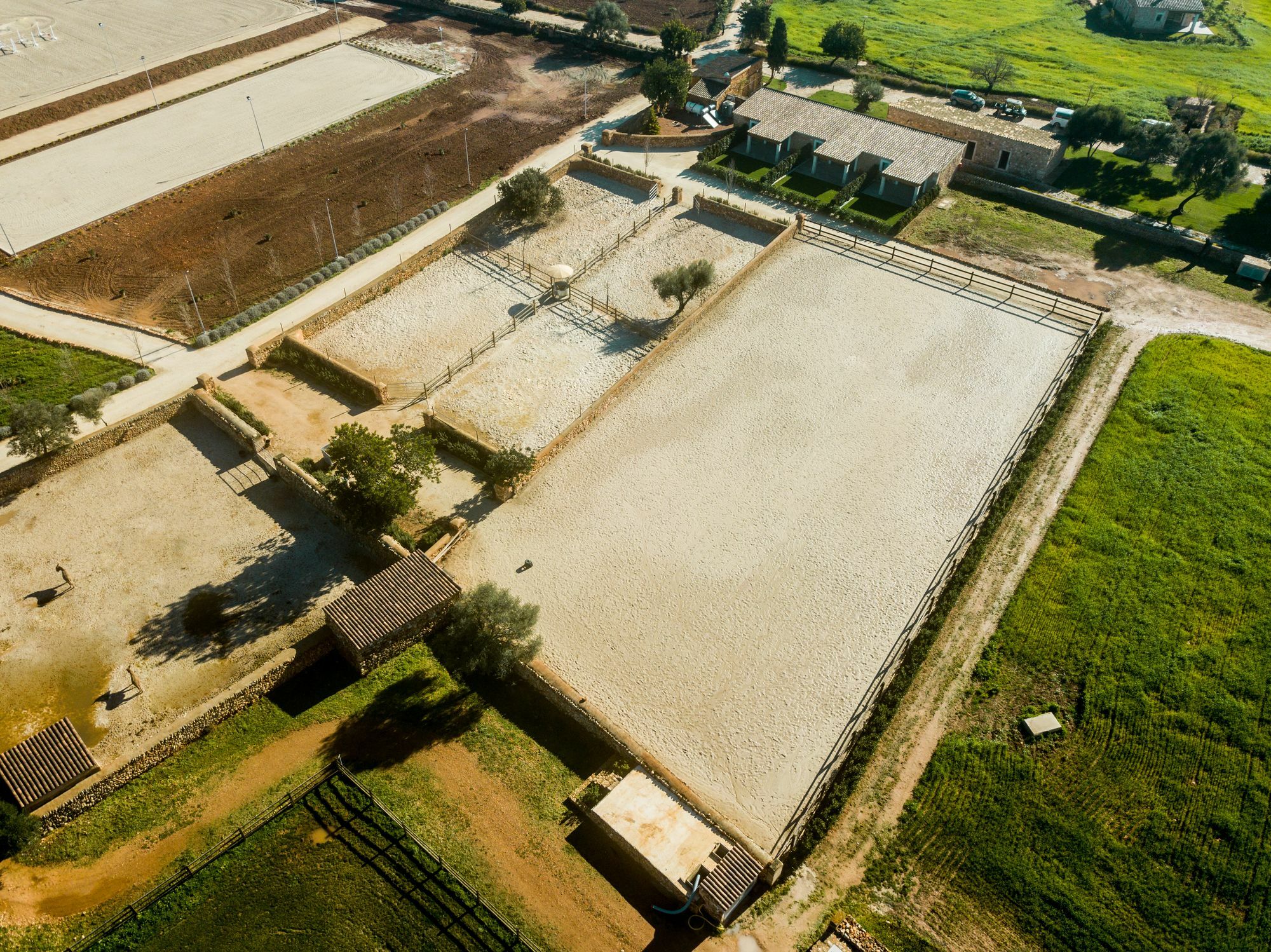 Vmg Horse Ranch (Adults Only) Vila Llucmajor  Exterior foto
